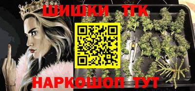 тгк Моздок