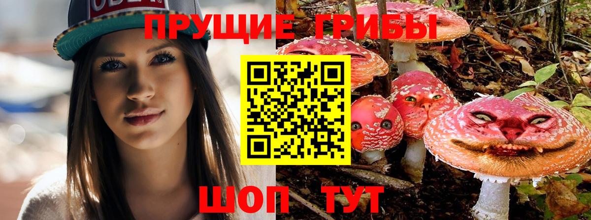 Шали  где можно купить   Вход с VPN  Галлюциногенные грибы MAGIC MUSHROOMS 