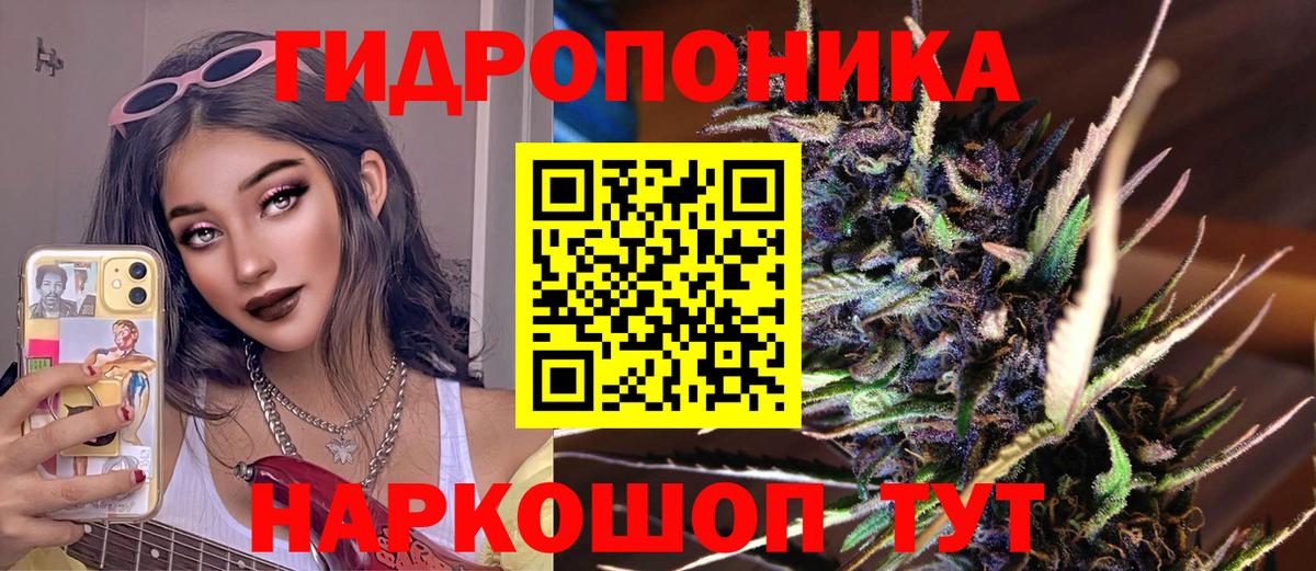 Марихуана сатива  Бошки Шишки Bruce Banner  Марихуана OG Kush  Шали  Бошки марихуана марихуана  Вход с VPN 